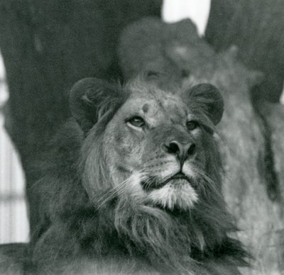 1929