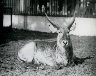 1928