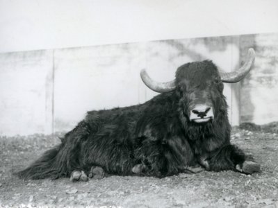 1928
