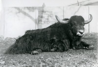 Ağustos 1928