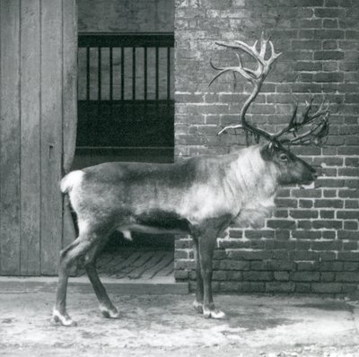 1925