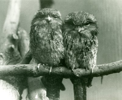 1924