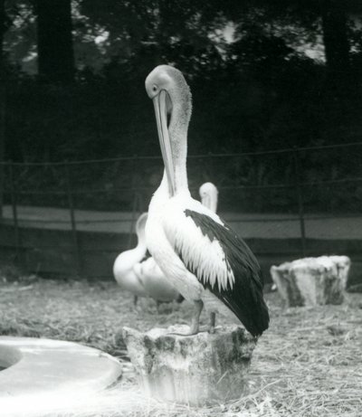 Eylül 1925