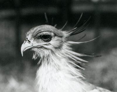 1928