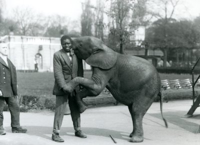 Genç bir Afrika Cüce Fili arka ayakları üzerinde durup Afrikalı antrenörünü kucaklarken, kaleci seyrediyor, Londra Hayvanat Bahçesi, Temmuz 1925 by Frederick William Bond