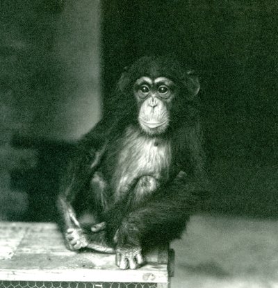 1924