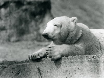 1927