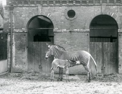 1927