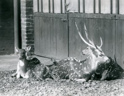 1924