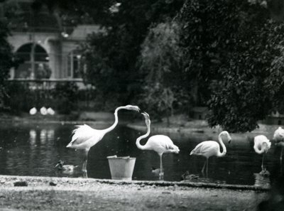 1924