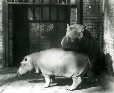 1927