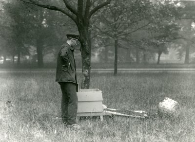 Bekçi Brown, bir bal arısı sürüsünü hareket ettirirken, Londra Hayvanat Bahçesi, Temmuz 1926 by Frederick William Bond