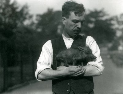 Gardiyan Harry Warwick, Londra Hayvanat Bahçesi