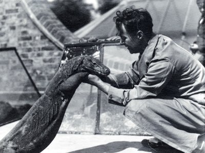 Komodo ejderi Sumbawa ve kaleci H. Alec Budd, 1928 by Frederick William Bond