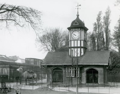 Deve Evi. Londra Hayvanat Bahçesi by Frederick William Bond