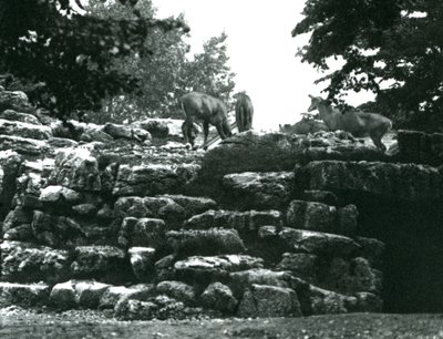 Haziran 1924