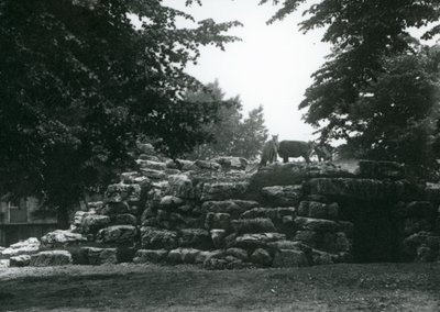Haziran 1924