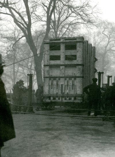 Dişi Asya Fili Lukhi