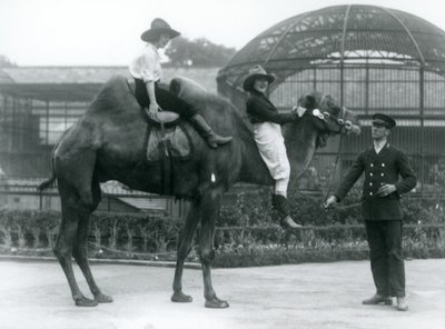 İki Kovboy Kız, 1924