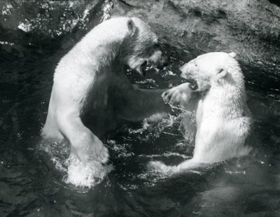1926