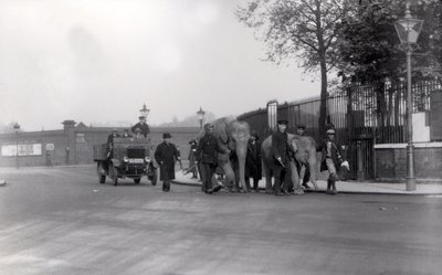1923'te rıhtımdan bir çift fili ZSL Londra Hayvanat Bahçesi'ne yürümek, bu son kez yapıldı by Frederick William Bond