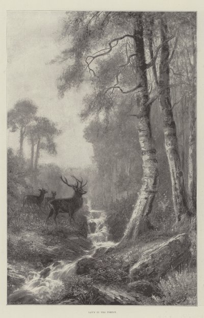 Ormanda Şafak by Frederick William Hayes