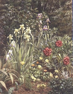 Bahçeden Bir Köşe by Frederick William Jackson