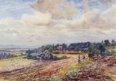 Aç Grafton by Frederick William Newton Whitehead