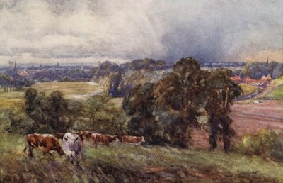 Campion Hills