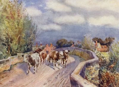 Marton Köprüsü by Frederick William Newton Whitehead