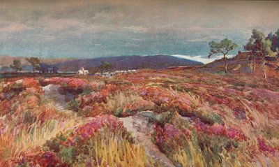Heath Lytchett Minster Üzerine, c1904 by Frederick William Newton Whitehead