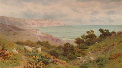 Warren, Folkestone