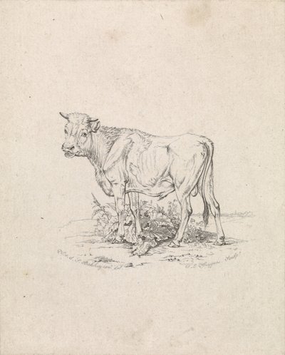 Boğa burcu by Frederik Lodewijk Huygens