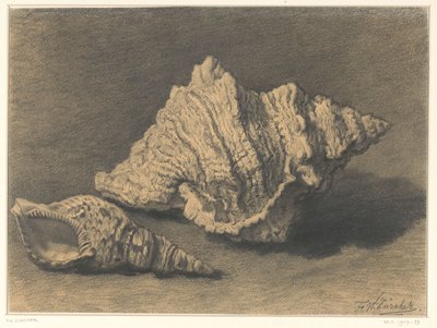 iki kabuk by Frederik Willem Zürcher