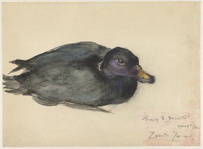 Siyah Scoter by Frederika Henriëtte Broeksmit