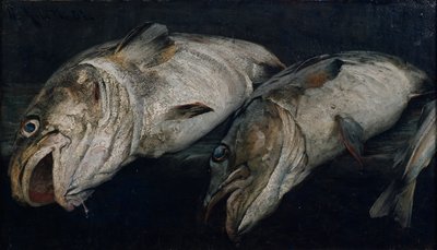 Morina by Fredrik Kolstoe