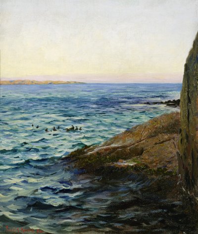 Yaz akşamı by Fredrik Kolstoe