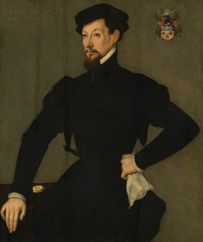 Quaratesi Ailesinin Bir Üyesinin Portresi by French 16th Century