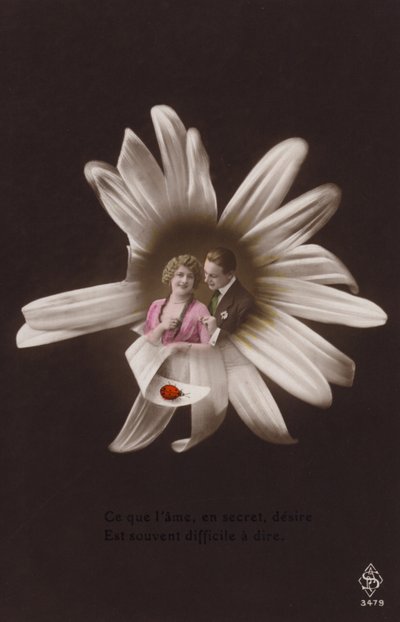 Uğur böceği ile bir çiçeğin ortasında genç bir çift (renkli fotokolaj) by French Photographer