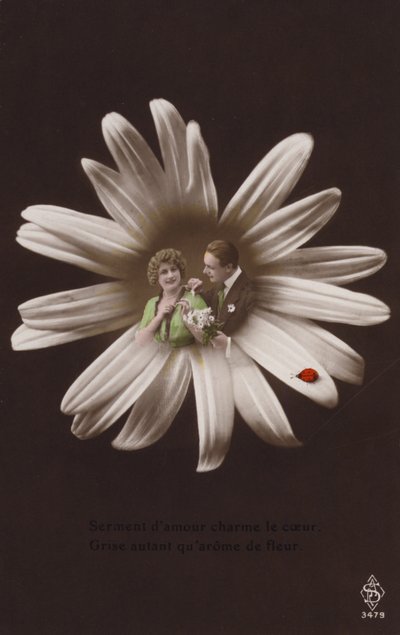 Uğur böceği ile bir çiçeğin ortasında genç bir çift (renkli fotokolaj) by French Photographer