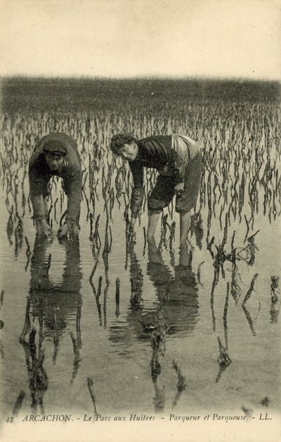 Arcachon, Parc Aux Huitres by French Photographer