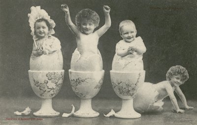 Yumurtalıklarda yumurtadan çıkan bebekler (s/b fotoğraf) by French Photographer