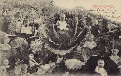 Lahana yamasındaki bebekler (fotokolaj) by French Photographer