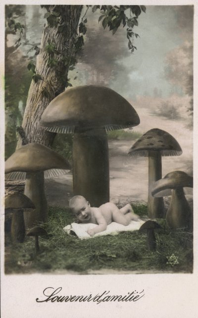 Mantar yamasındaki bebek by French Photographer