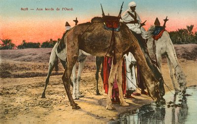 Cezayir, Oued nehrinin kenarında su içen develer by French Photographer