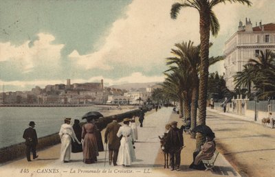 Cannes, Gezinti Yolu De La Croisette by French Photographer