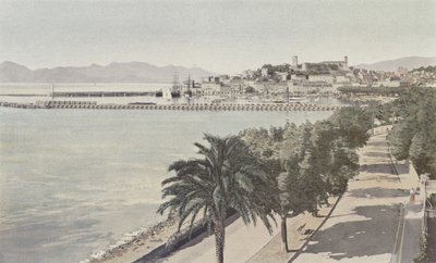 Cannes, Liman ve Eski Şehir, Boulevard de la Croisette by French Photographer