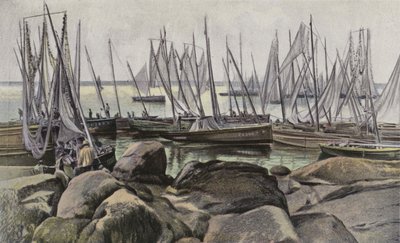Concarneau, sardalye için balıkçı tekneleri by French Photographer