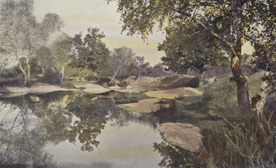 Fontainebleau, Foret, Mare de Franchard by French Photographer