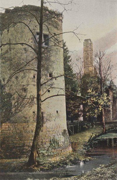 Fontenay-Tresigny, Vivier-en-Brie şatosunun kalıntıları by French Photographer